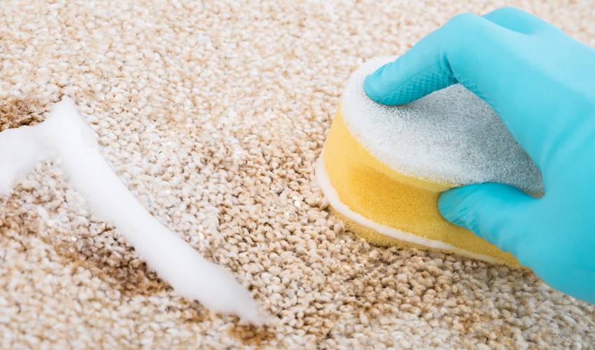 Spot Cleaning Solutions