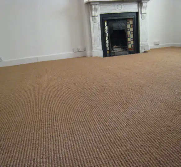 Versatile Sisal Carpet